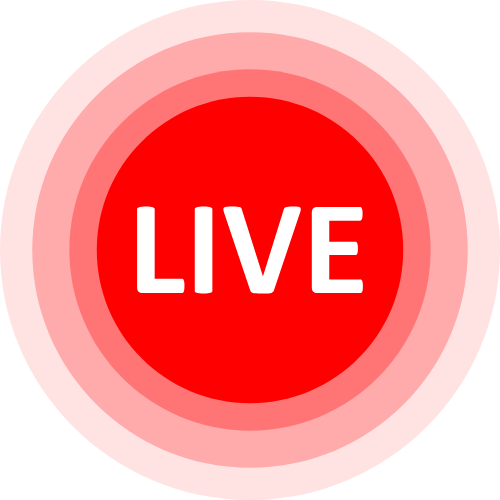 Irishcollin Webcam